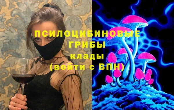 прущая мука Арсеньев