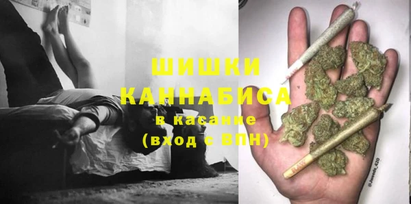 твердый Аркадак