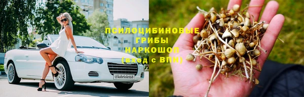 твердый Аркадак