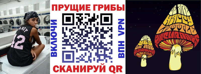 Псилоцибиновые грибы GOLDEN TEACHER Мурино