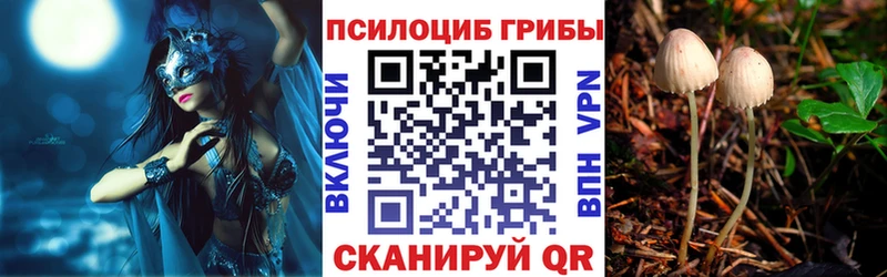 Галлюциногенные грибы прущие грибы  что такое   Мурино 