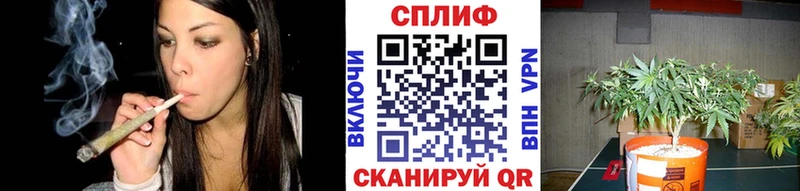 сколько стоит  Мурино  Шишки марихуана LSD WEED 